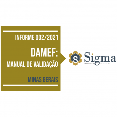 INFORME_002_2021_MANUAL_DAMEF_SITE