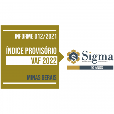 MG INFORME 012 - INDICE PROVISORIO VAF 2022